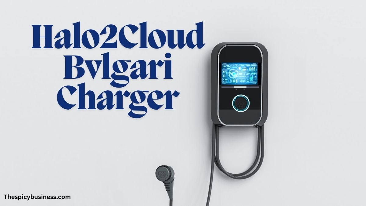 Halo2Cloud Bvlgari Charger