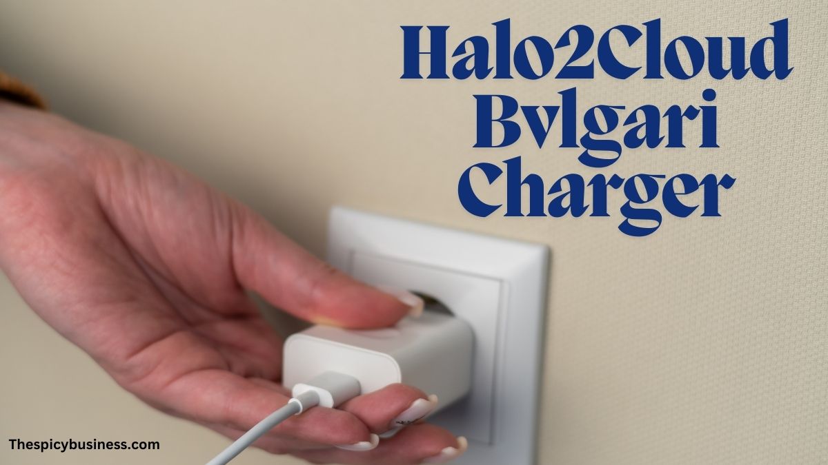 Halo2Cloud Bvlgari Charger