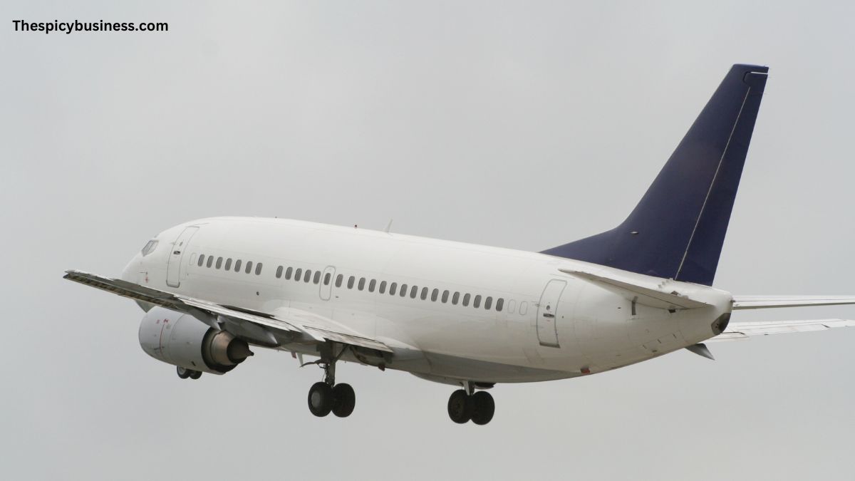 Aeropuerto De Maracaibo Aviones Ranstito En Vivo